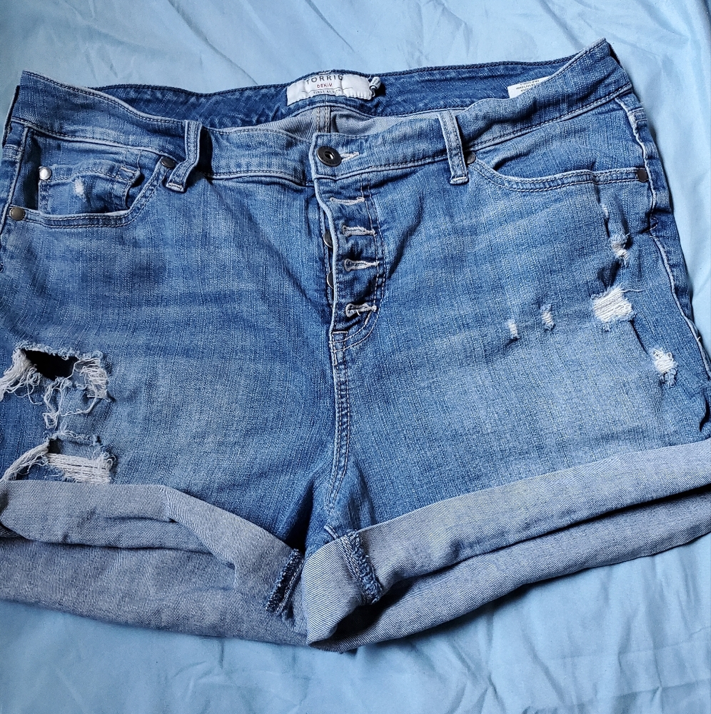 Torrid Shorts